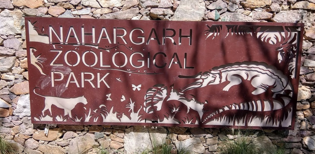Nahargarh Biological Park Timings Jaipur Stuff