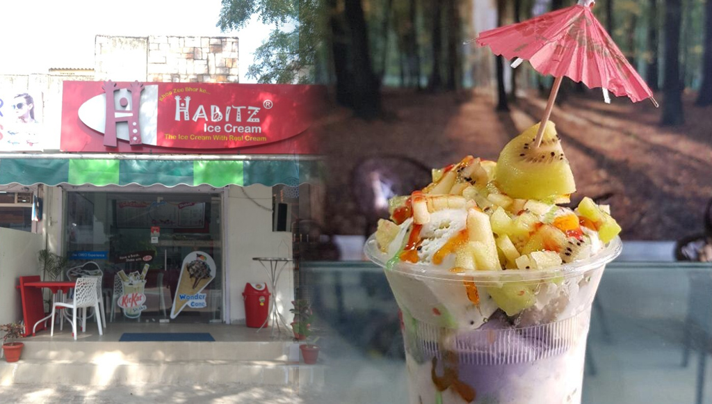 Best Ice Cream parlours In Jaipur for that creamy goodness! Jaipur Stuff