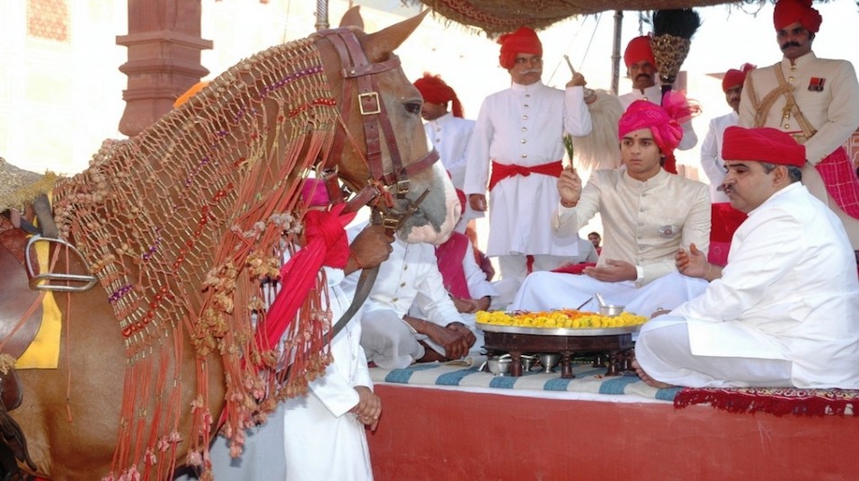 Dussehra worship of  horses