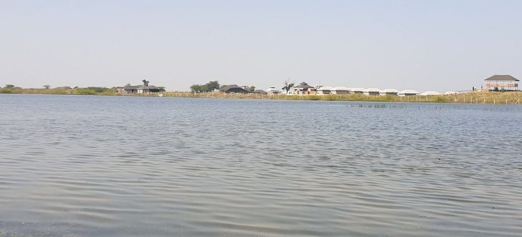 Sambhar Lake best camping place in Rajasthan