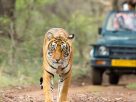 place to visit in Ranthambore