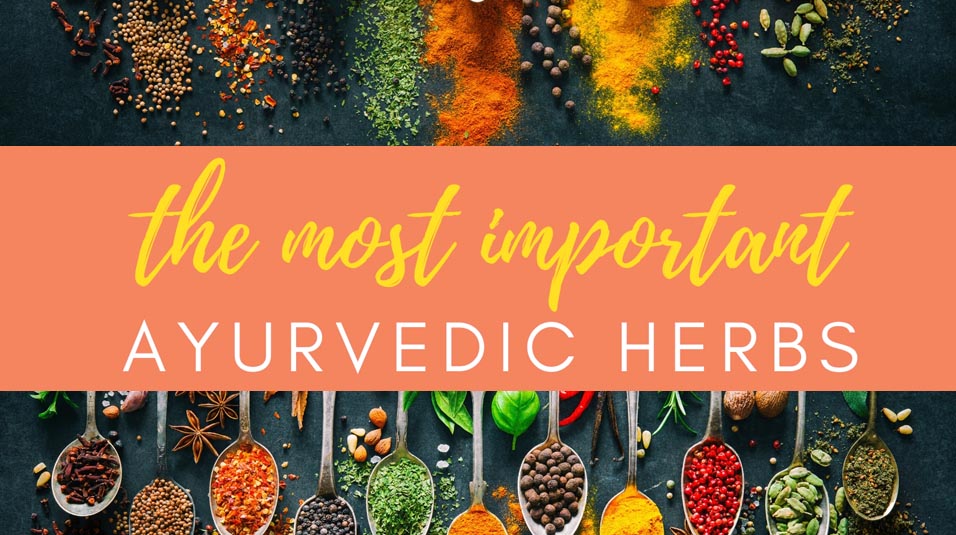 Importance of Ayurvedic Herbs