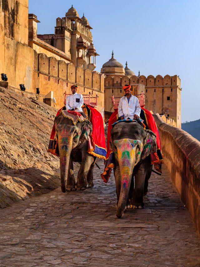 elephant ride at Amer Fort Jaipur