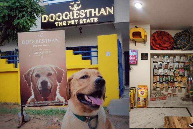 10 Best pet shops in Jaipur for your furry mate Jaipur Stuff