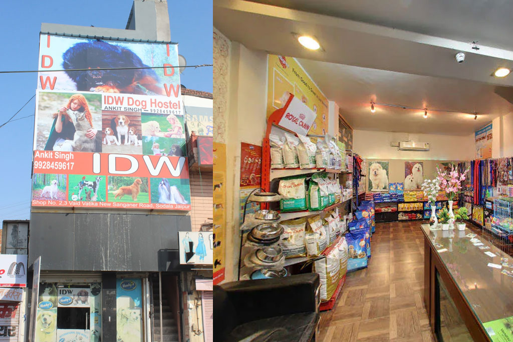 10 Best pet shops in Jaipur for your furry mate Jaipur Stuff