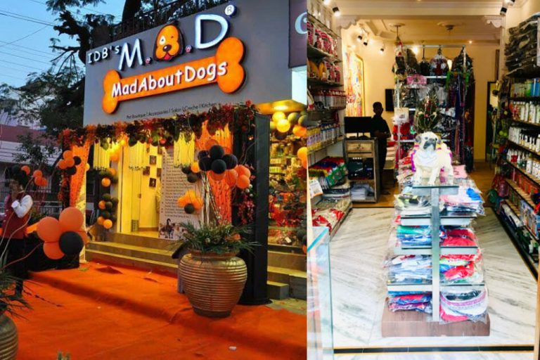 10 Best pet shops in Jaipur for your furry mate Jaipur Stuff