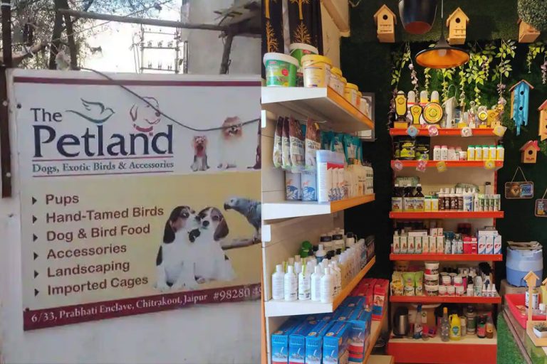 10 Best pet shops in Jaipur for your furry mate Jaipur Stuff