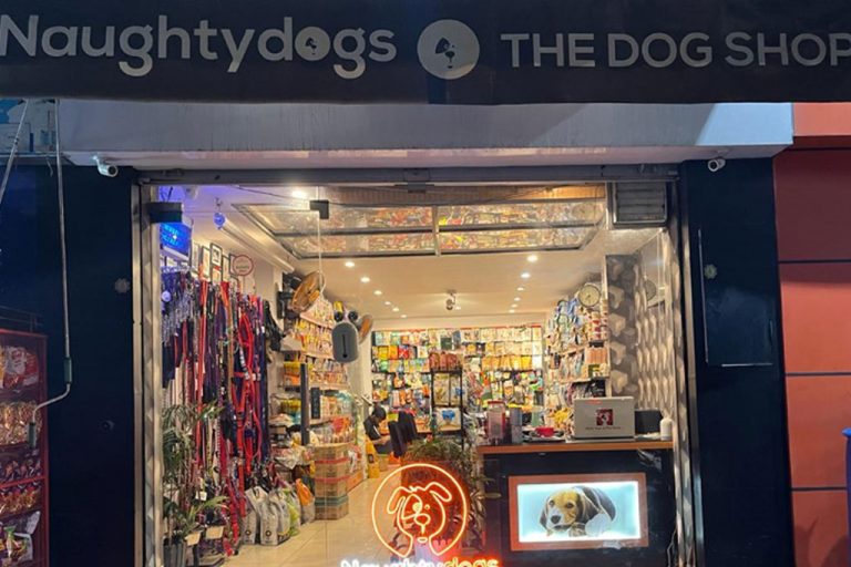 10 Best pet shops in Jaipur for your furry mate Jaipur Stuff