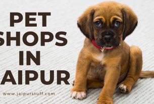 pet shops in jaipur