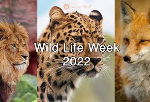 wildlife week 2022