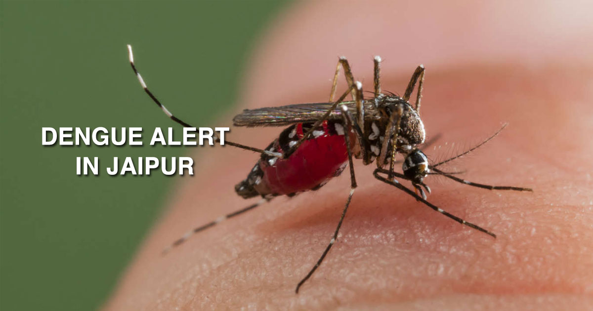 Dengue alert in Jaipur