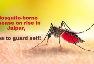Mosquito-borne disease on rise in Jaipur, tips to guard self