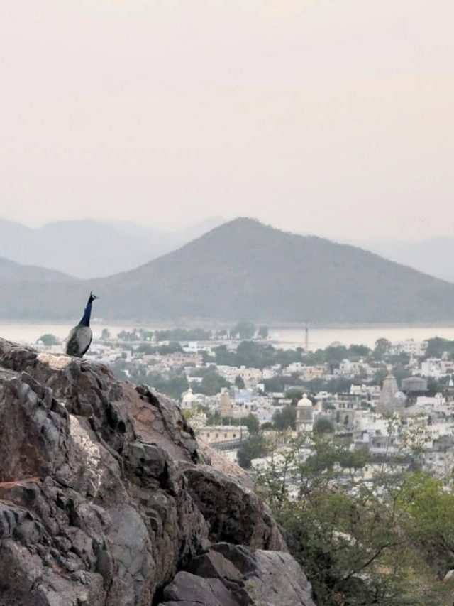 best places to visit Rajasthan in August