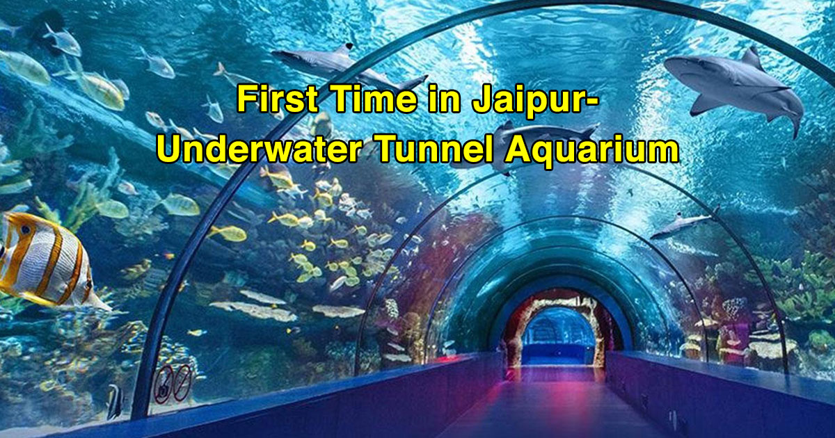 Underwater Tunnel Aquarium Jaipur
